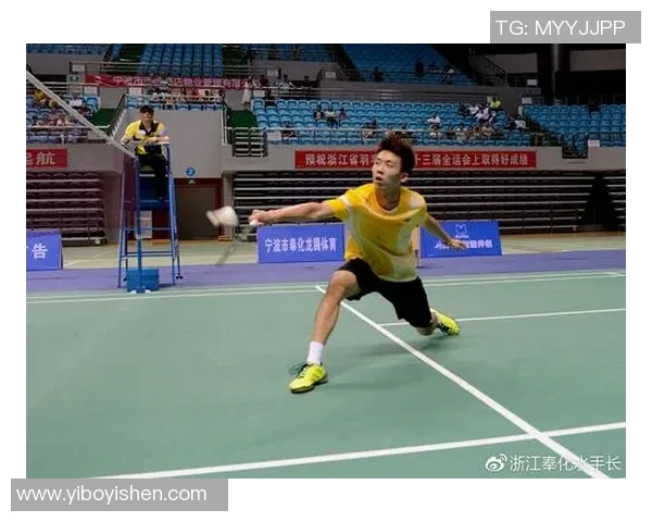 南京羽毛球队在精英赛中的技术表现分析与点评