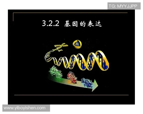 广州排球队心理素质分析与表现研究：数据背后的故事与启示