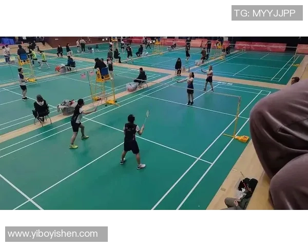 独家解析杭州羽毛球队灵活性优势与其他球队的全面对比分析 独家解析杭州羽毛球队灵活性优势与其他球队的全面对比分析