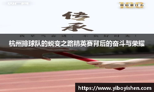 杭州排球队的蜕变之路精英赛背后的奋斗与荣耀