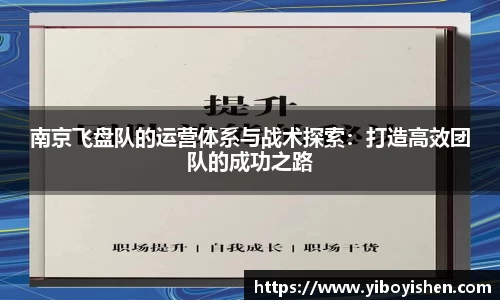 南京飞盘队的运营体系与战术探索：打造高效团队的成功之路