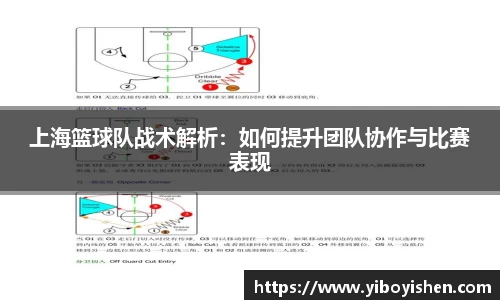 上海篮球队战术解析：如何提升团队协作与比赛表现